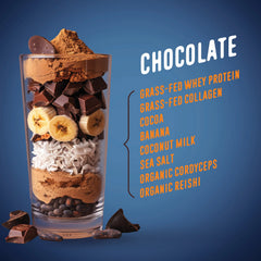 Chocolate Protein Smoothie